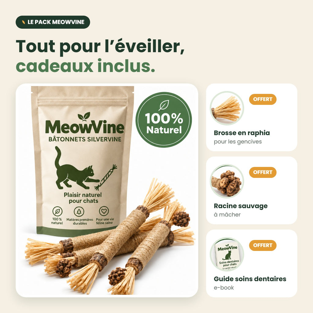 Pack MeowVine : bâtonnets silvervine et 3 cadeaux offerts
